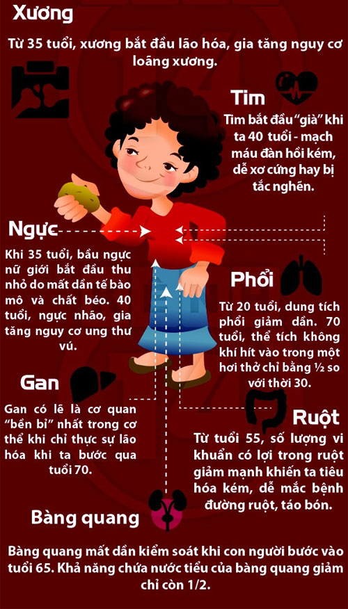 lao hoa da, lão hóa da